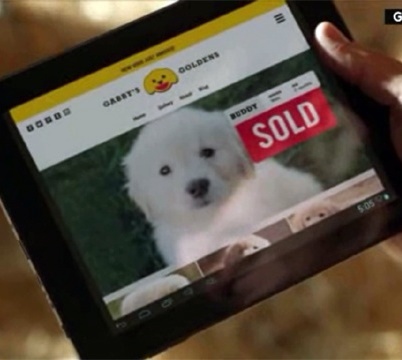 PUPPY-1