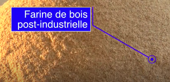 French Translation on wood fiber