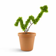 Plant in pot shaped like graph. Wealth concept.jpeg